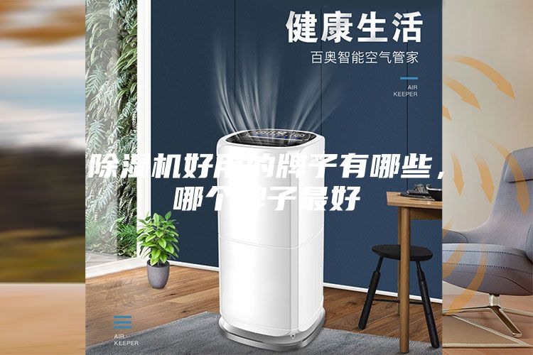 除濕機好用的牌子有哪些，哪個牌子最好