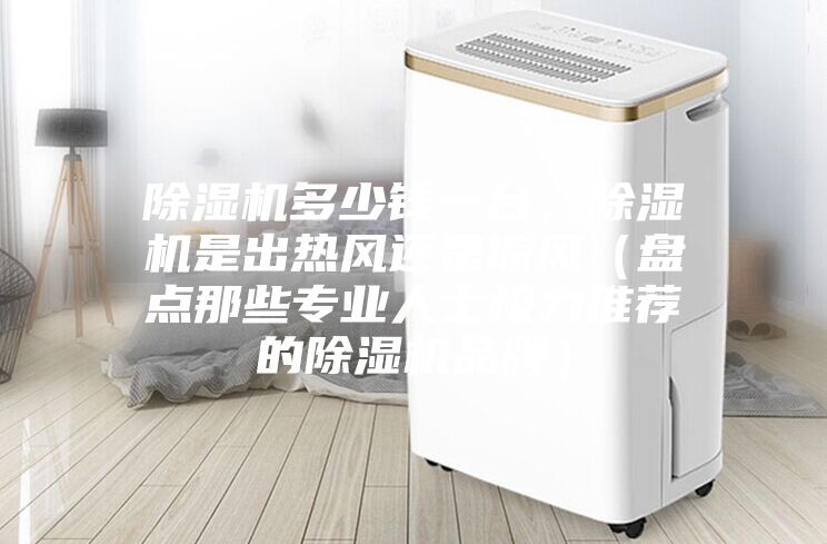除濕機多少錢一臺，除濕機是出熱風(fēng)還是涼風(fēng)（盤點那些專業(yè)人士極力推薦的除濕機品牌）