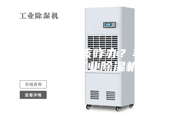 車間潮濕該咋辦？車間除潮工業除濕機