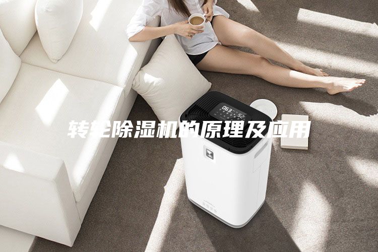 轉(zhuǎn)輪除濕機的原理及應(yīng)用