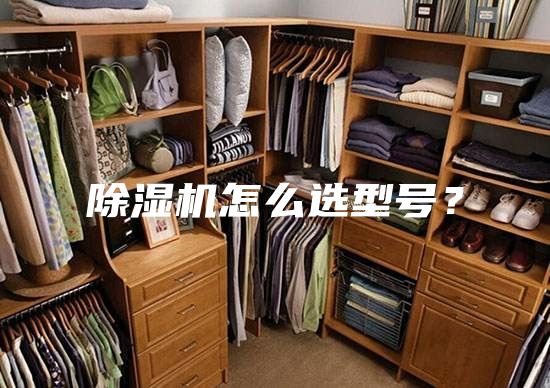 除濕機(jī)怎么選型號(hào)？