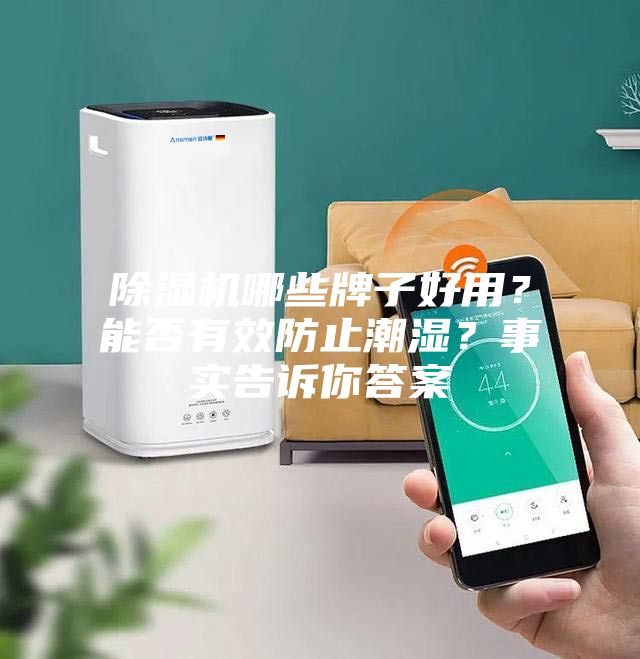 除濕機(jī)哪些牌子好用？能否有效防止潮濕？事實告訴你答案