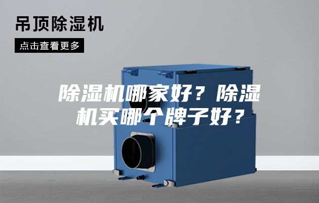 除濕機(jī)哪家好？除濕機(jī)買哪個牌子好？