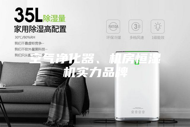 空氣凈化器、機房恒濕機實力品牌