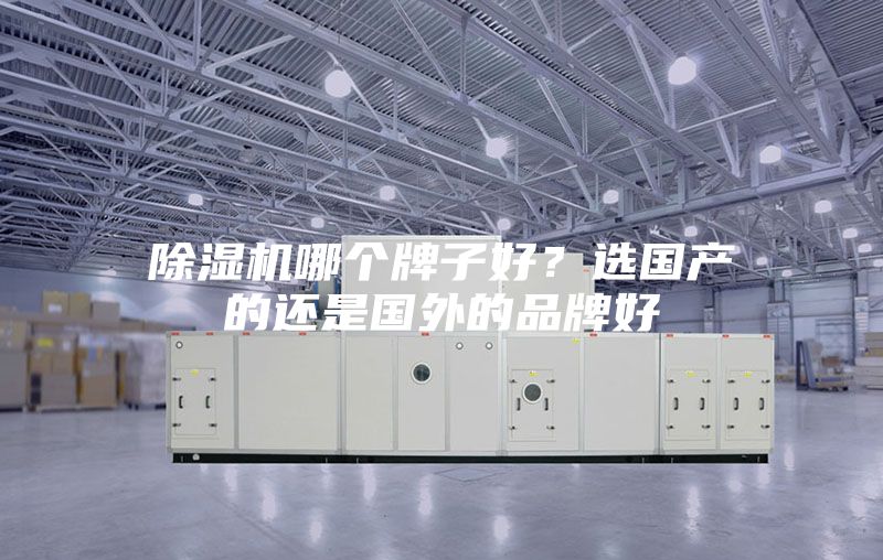 除濕機哪個牌子好？選國產的還是國外的品牌好