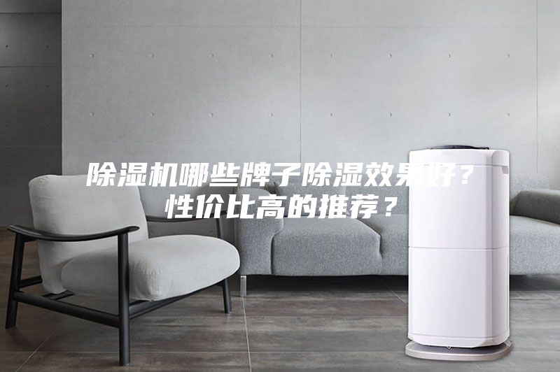 除濕機(jī)哪些牌子除濕效果好？性價比高的推薦？