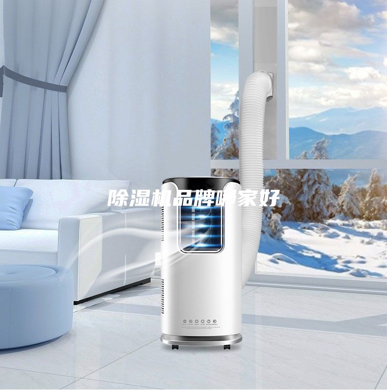除濕機品牌哪家好