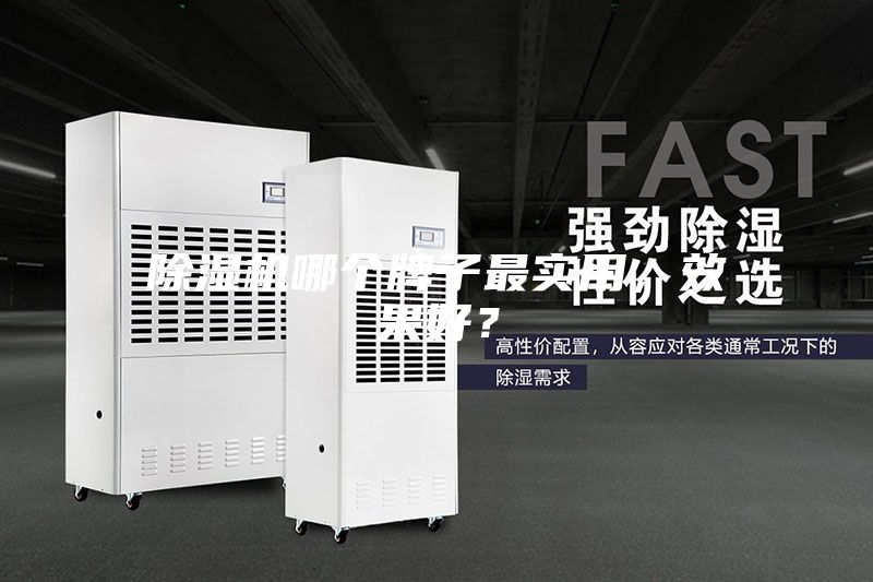 除濕機哪個牌子最實用，效果好？