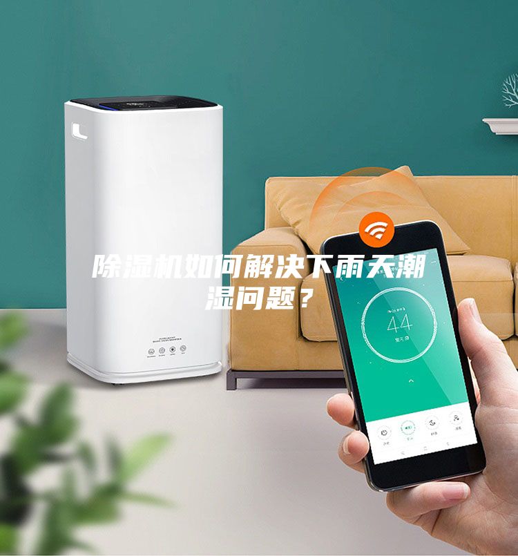 除濕機如何解決下雨天潮濕問題？