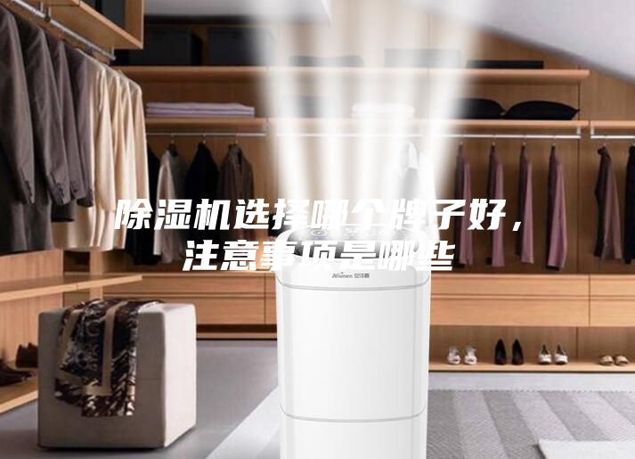 除濕機選擇哪個牌子好,注意事項是哪些