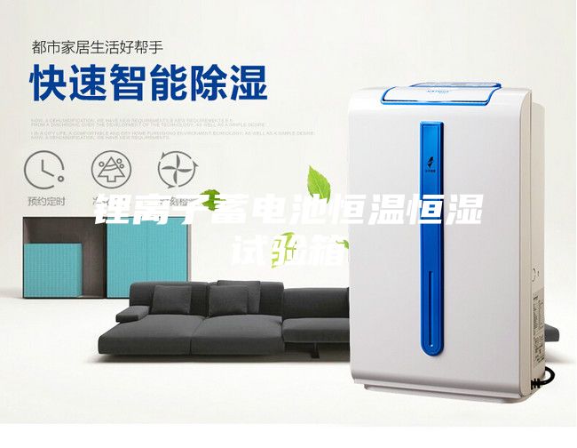 鋰離子蓄電池恒溫恒濕試驗箱