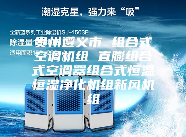 貴州遵義市 組合式空調機組 直膨組合式空調器組合式恒溫恒濕凈化機組新風機組