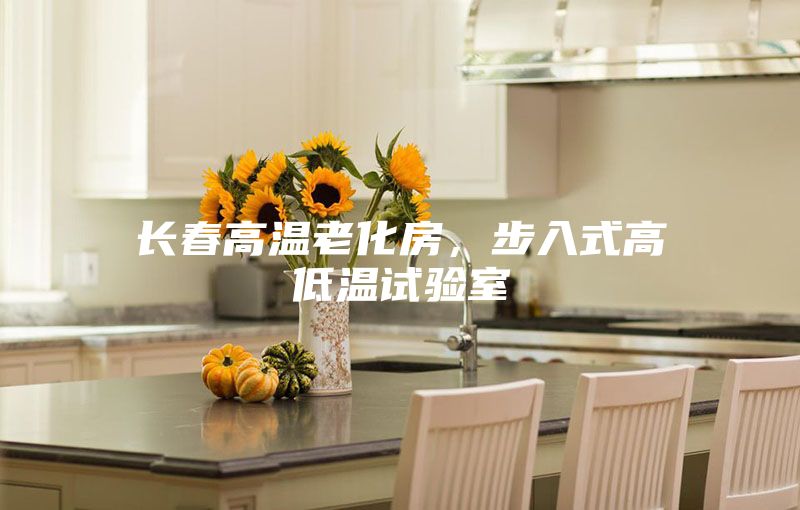 長春高溫老化房，步入式高低溫試驗室