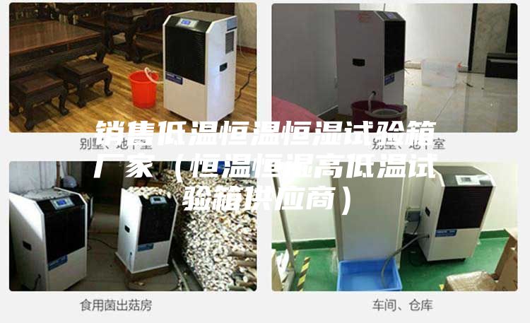 銷售低溫恒溫恒濕試驗箱廠家（恒溫恒濕高低溫試驗箱供應商）