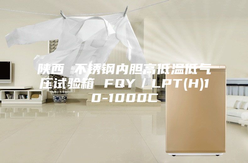 陜西 不銹鋼內(nèi)膽高低溫低氣壓試驗箱 FQY／LPT(H)10-1000C