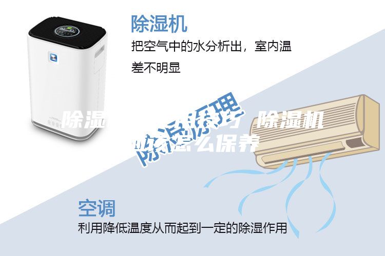 除濕機的使用技巧 除濕機應該怎么保養