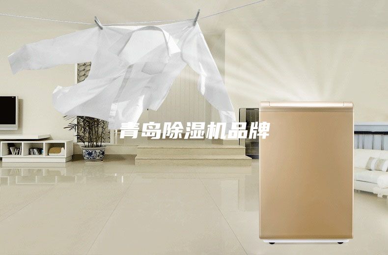 青島除濕機(jī)品牌