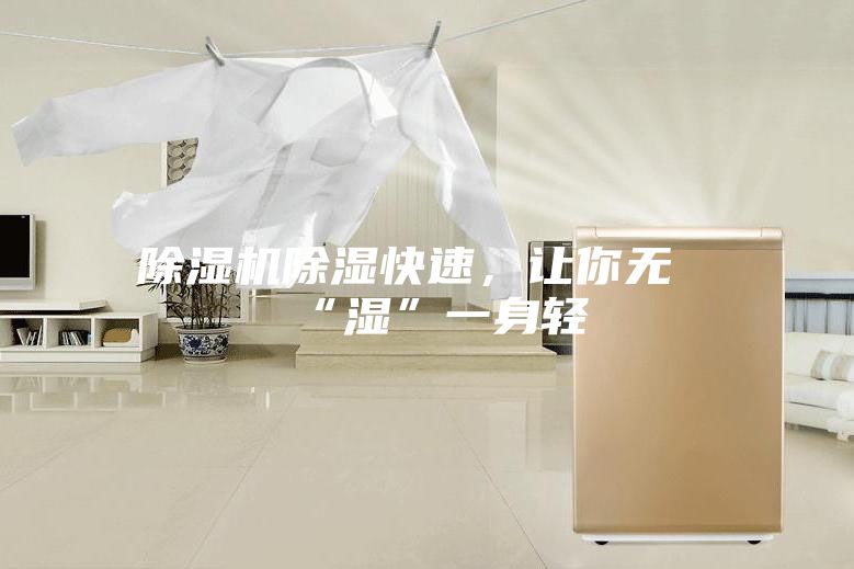 除濕機(jī)除濕快速，讓你無“濕”一身輕