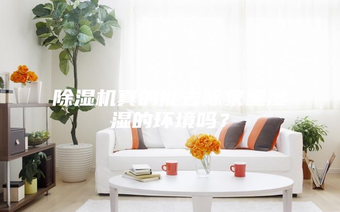 除濕機真的能去除家里濕濕的環境嗎？