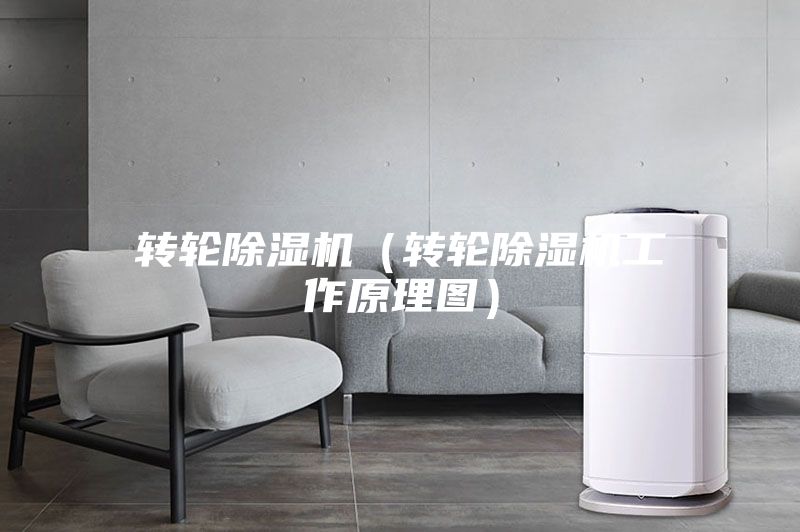 轉輪除濕機（轉輪除濕機工作原理圖）