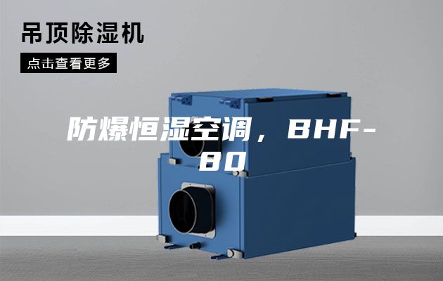 防爆恒濕空調，BHF-80