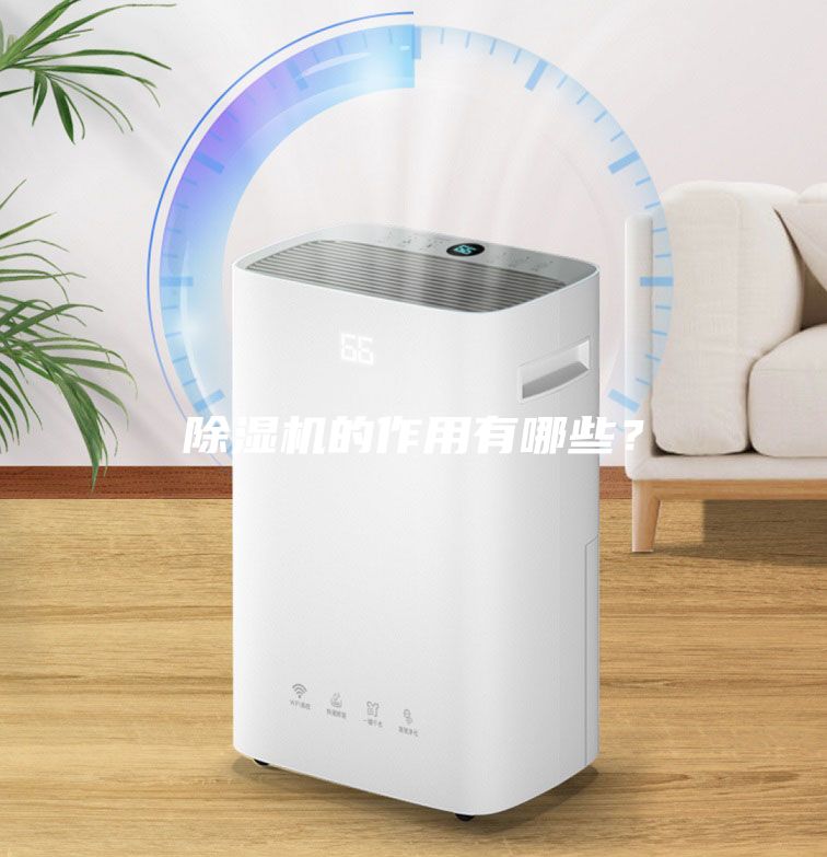 除濕機的作用有哪些？