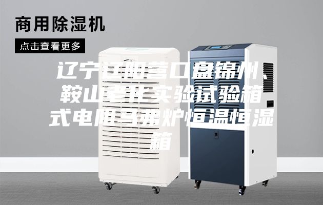 遼寧遼陽營口盤錦州、鞍山老化實驗試驗箱式電阻馬弗爐恒溫恒濕箱