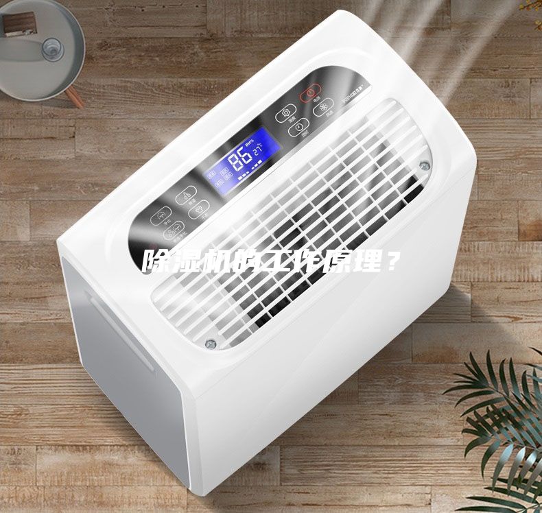 除濕機的工作原理？