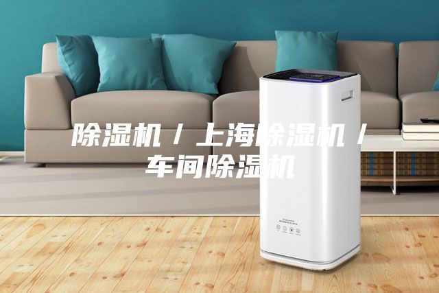 除濕機/上海除濕機/車間除濕機