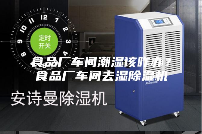 食品廠車間潮濕該咋辦?食品廠車間去濕除濕機