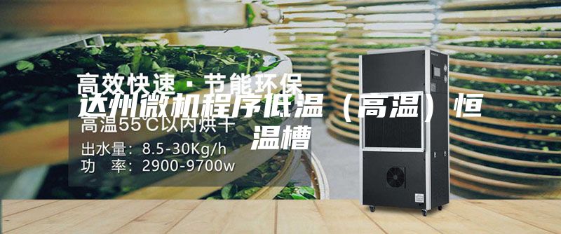 達州微機程序低溫(高溫)恒溫槽