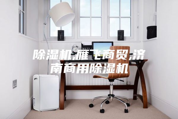 除濕機,雁飛商貿,濟南商用除濕機