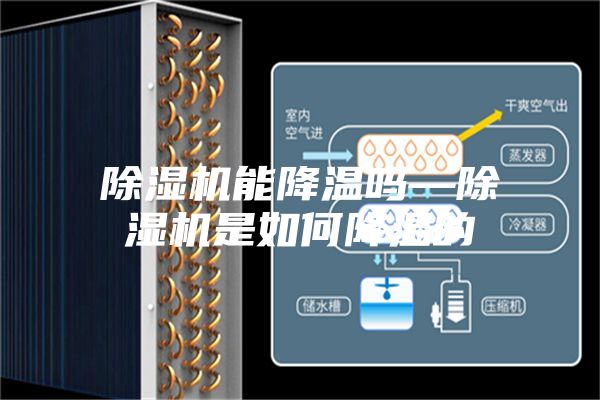 除濕機能降溫嗎—除濕機是如何降溫的