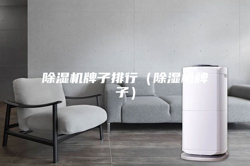 除濕機(jī)牌子排行(除濕機(jī)牌子)