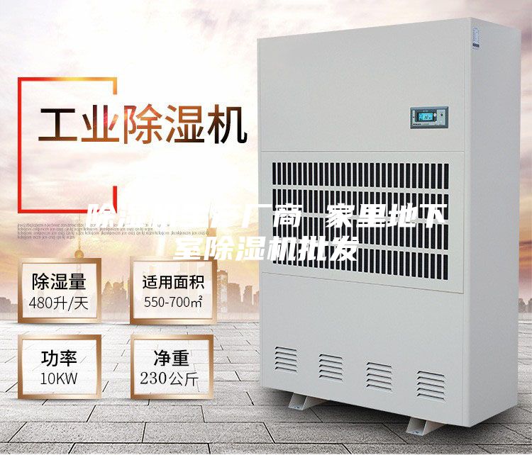 除濕機生產廠商 家里地下室除濕機批發