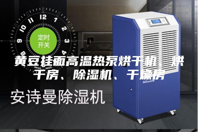 黃豆掛面高溫?zé)岜煤娓蓹C、烘干房、除濕機、干燥房