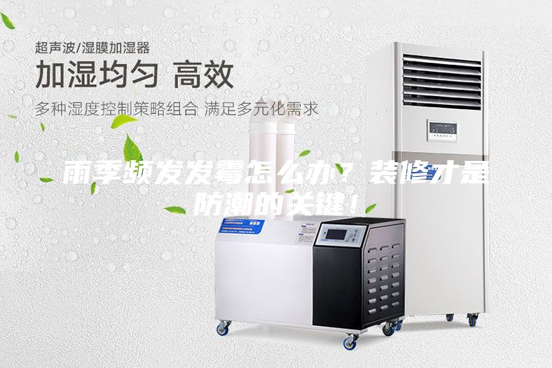 雨季頻發(fā)發(fā)霉怎么辦？裝修才是防潮的關(guān)鍵！