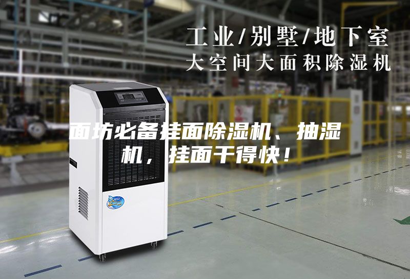 面坊必備掛面除濕機、抽濕機，掛面干得快！