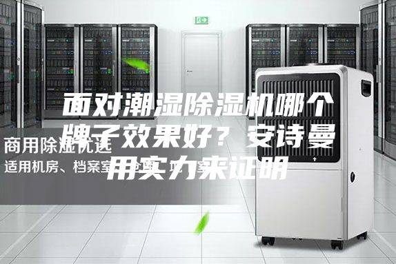 面對潮濕除濕機哪個牌子效果好？安詩曼用實力來證明