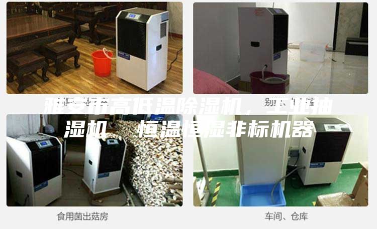 雅安市高低溫除濕機，工業抽濕機  恒溫恒濕非標機器