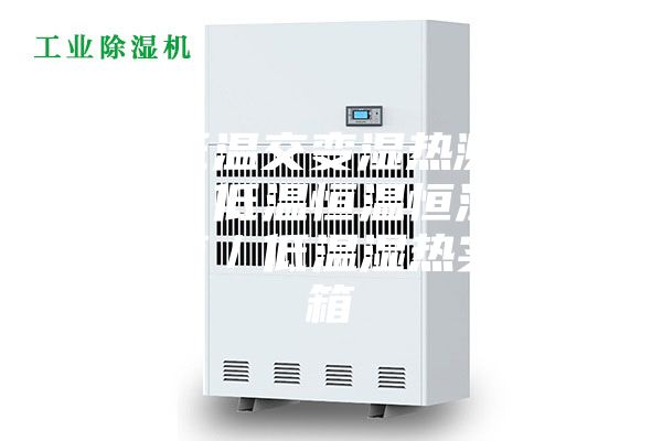 高低溫交變濕熱測試箱/低溫恒溫恒濕試驗箱/低溫濕熱實驗箱