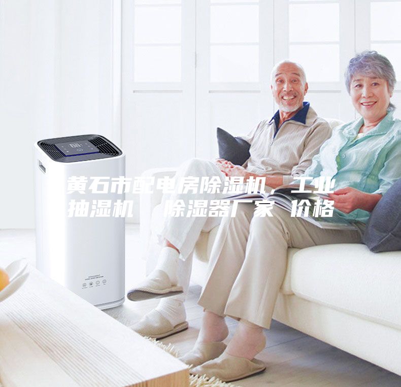 黃石市配電房除濕機,工業抽濕機 除濕器廠家 價格