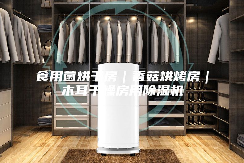 食用菌烘干房｜香菇烘烤房｜木耳干燥房用除濕機