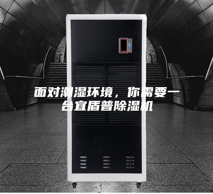 面對潮濕環境，你需要一臺宜盾普除濕機