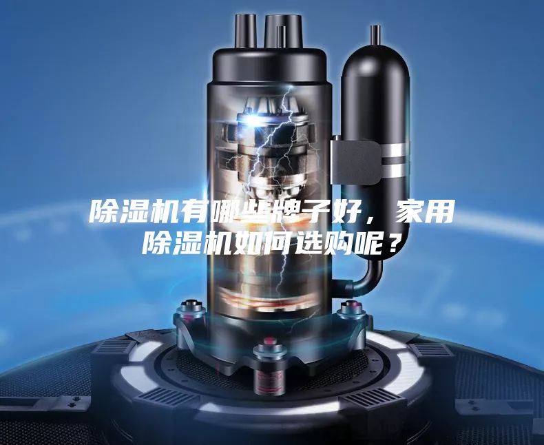 除濕機有哪些牌子好,家用除濕機如何選購呢?