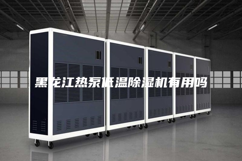 黑龍江熱泵低溫除濕機有用嗎