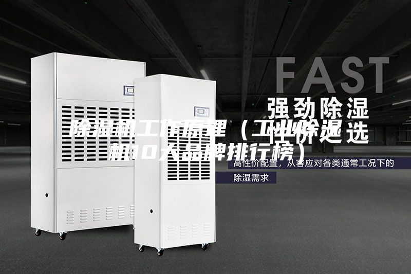 除濕機工作原理（工業除濕機10大品牌排行榜）