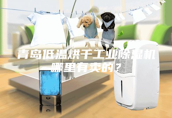 青島低溫烘干工業除濕機哪里有賣的？