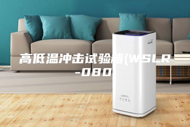 高低溫沖擊試驗(yàn)箱(WSLR-080)