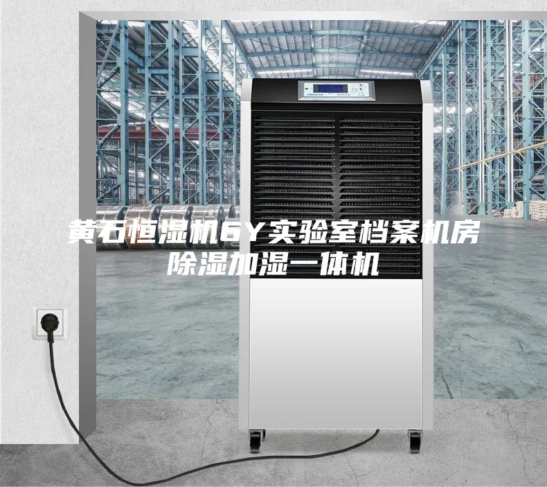 黃石恒濕機6Y實驗室檔案機房除濕加濕一體機